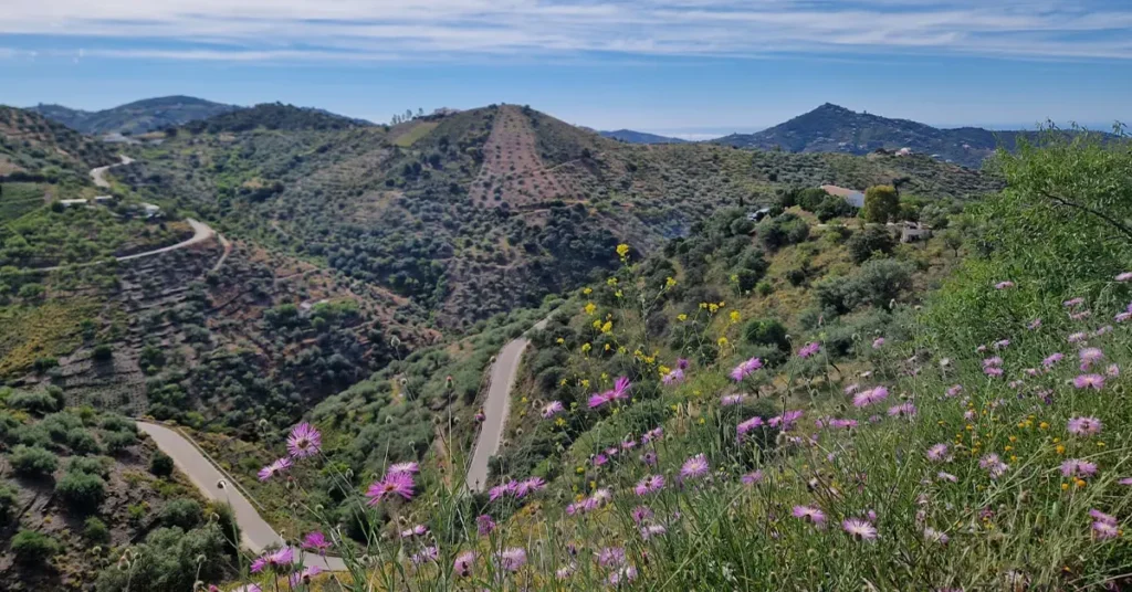 La Axarquia